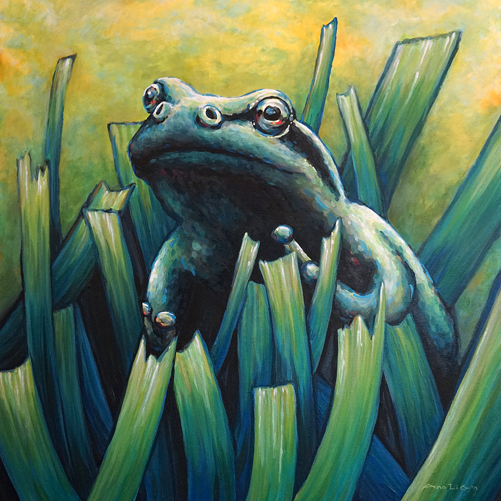 Frog in Grass Original - 
