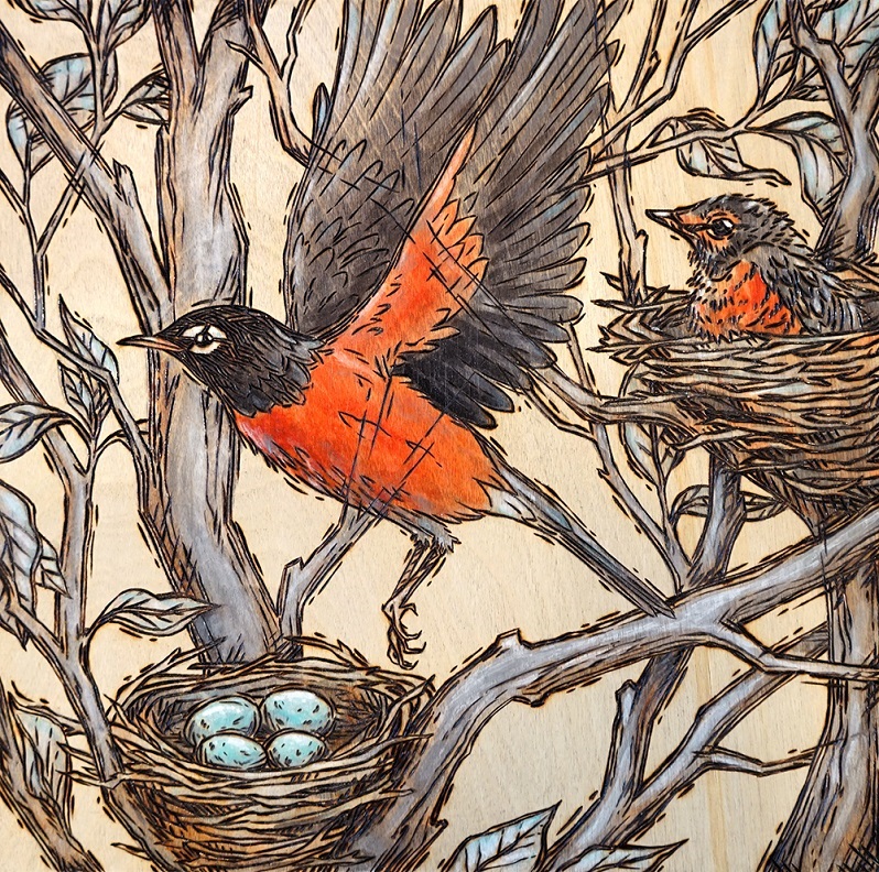 A Robin’s Lifecycle Wood Burning and Acrylic Painting Original - 10” x 10” Price: $150