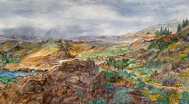 Cowiche Canyon Shrub Steppe Medium: Watercolor with pen and ink Size: 16” x 20”