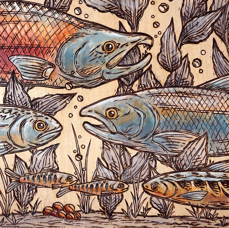 Lifecycle of a Salmon Wood Burning and Acrylic Painting Original – 10” x 10” Price: $150