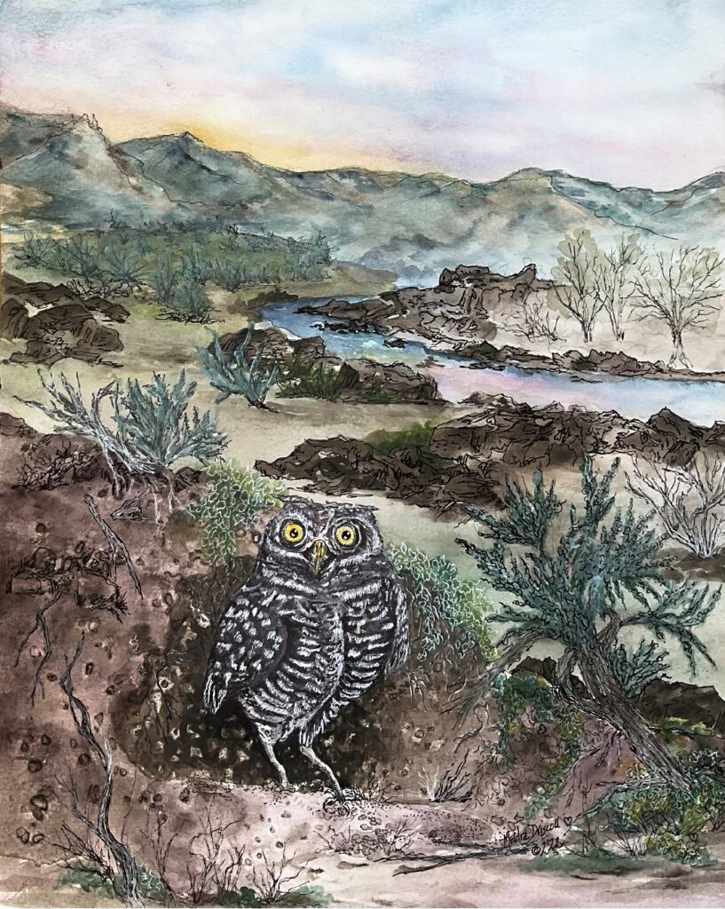 Burrowing Owl 9” x 12”, watercolor with pen