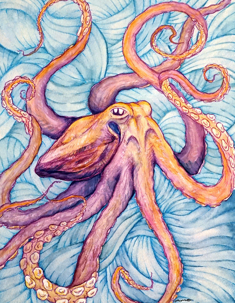 Octopus 11” x 14” Watercolor and Color Pencil