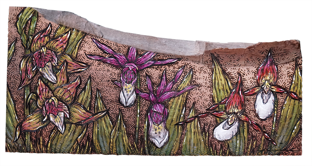 PNW Wild Orchids Wood burning and acrylic painting Original – 14.75” x 7.25”  Price: $250
