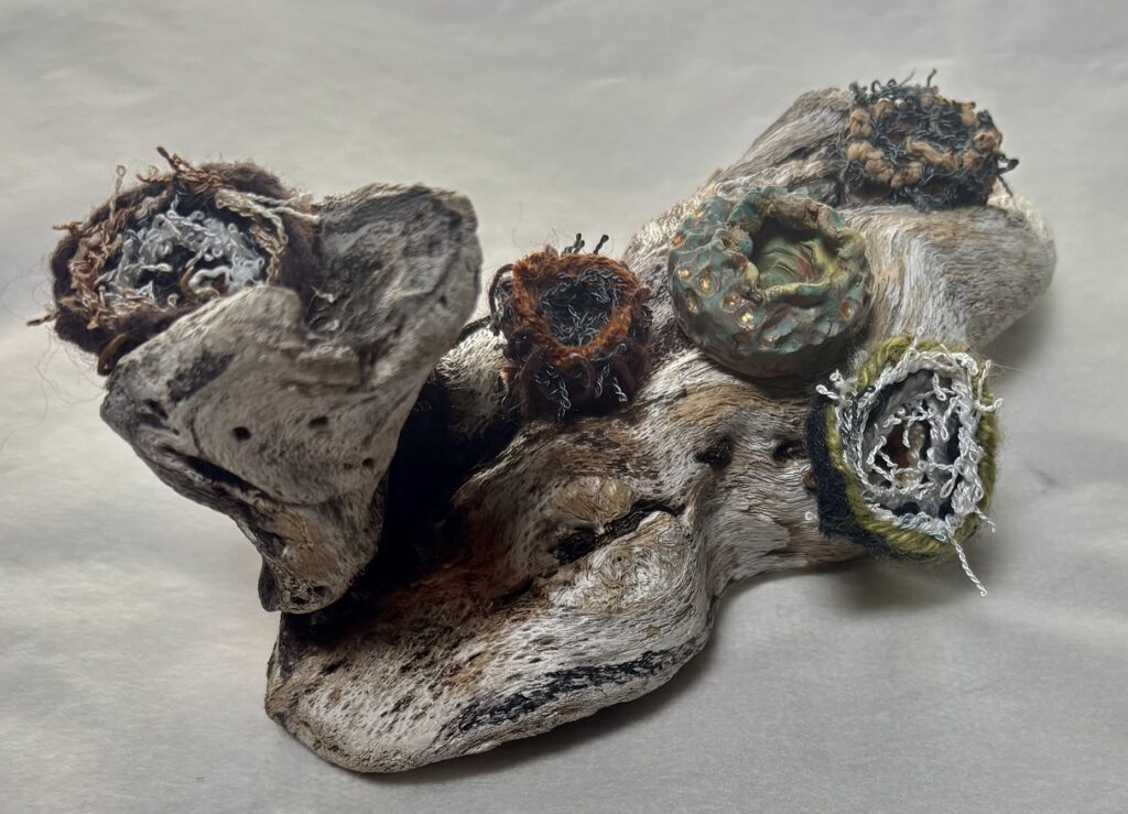 Baskets and clay colonize driftwood as little lichen-like forms. Infinitely variable. Prices vary