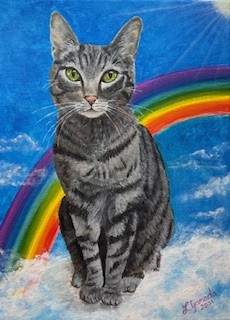 Bert, the Clinic Cat