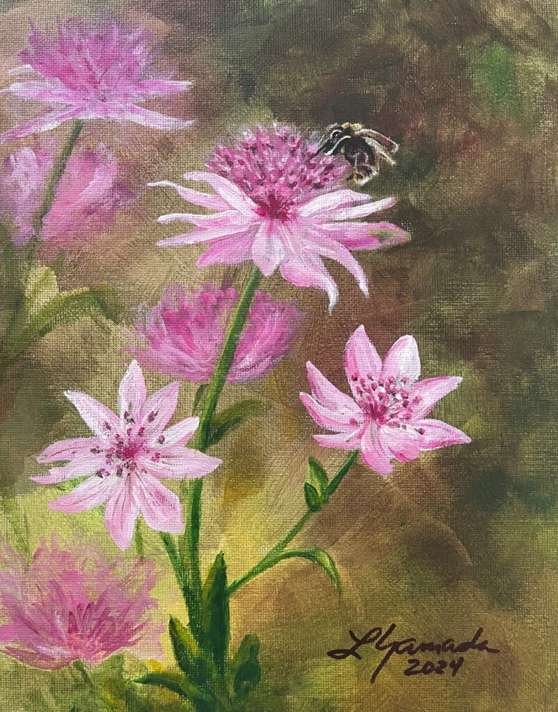 Bumble Bee On Masterwort