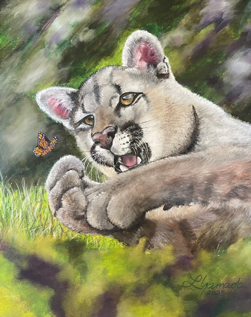 Cougar and Butterfly