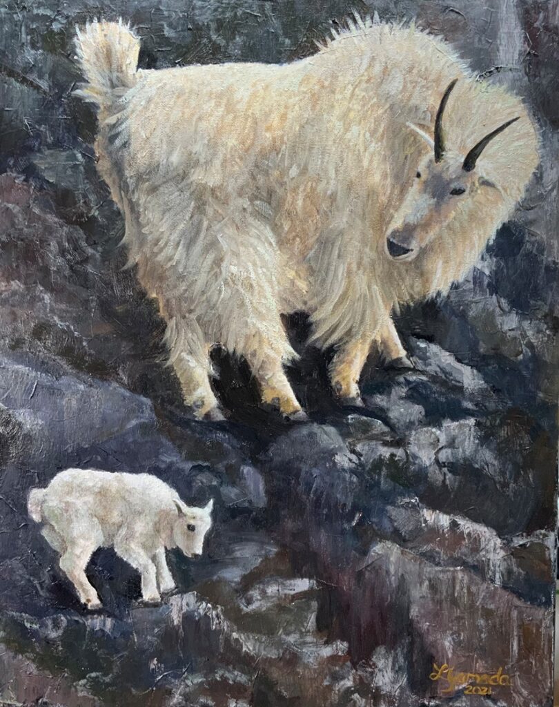 Mountain Goats