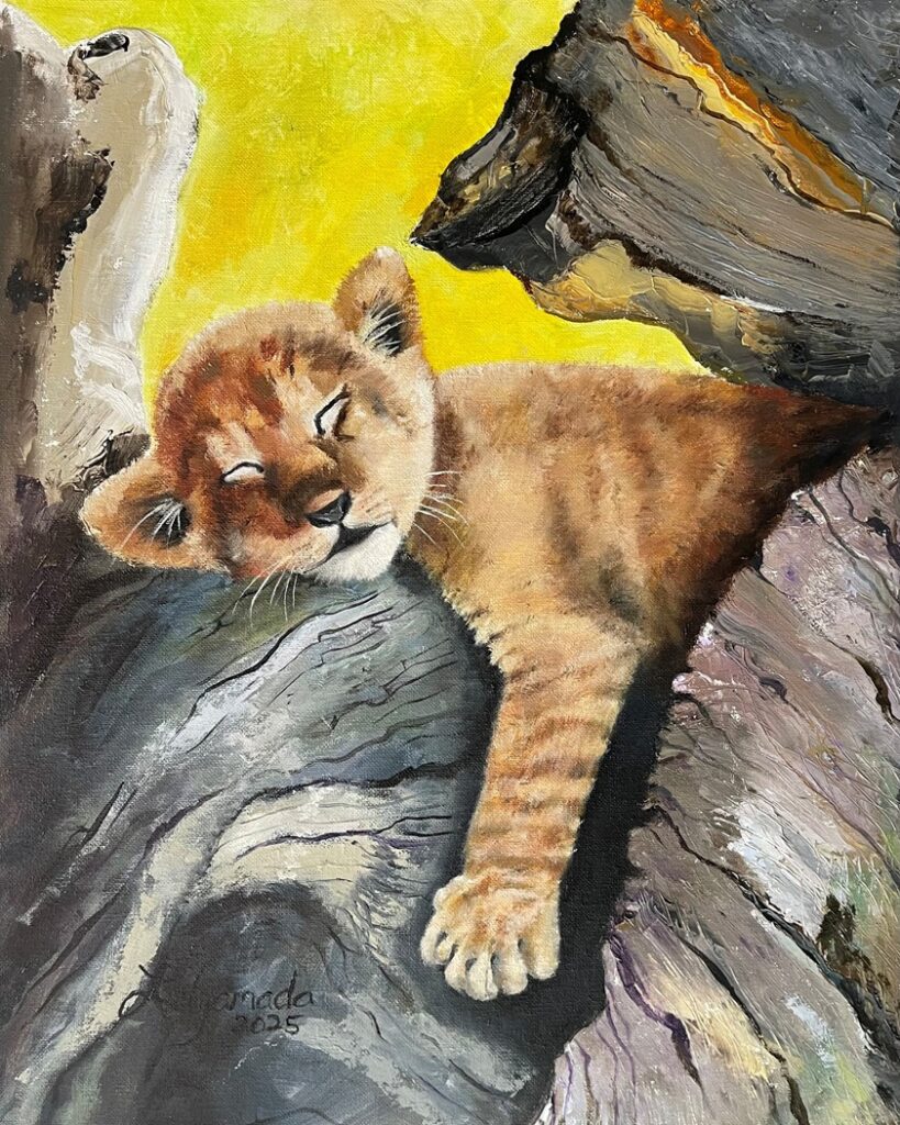 Napping Lion Cub
