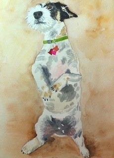 Pet Portrait-4
