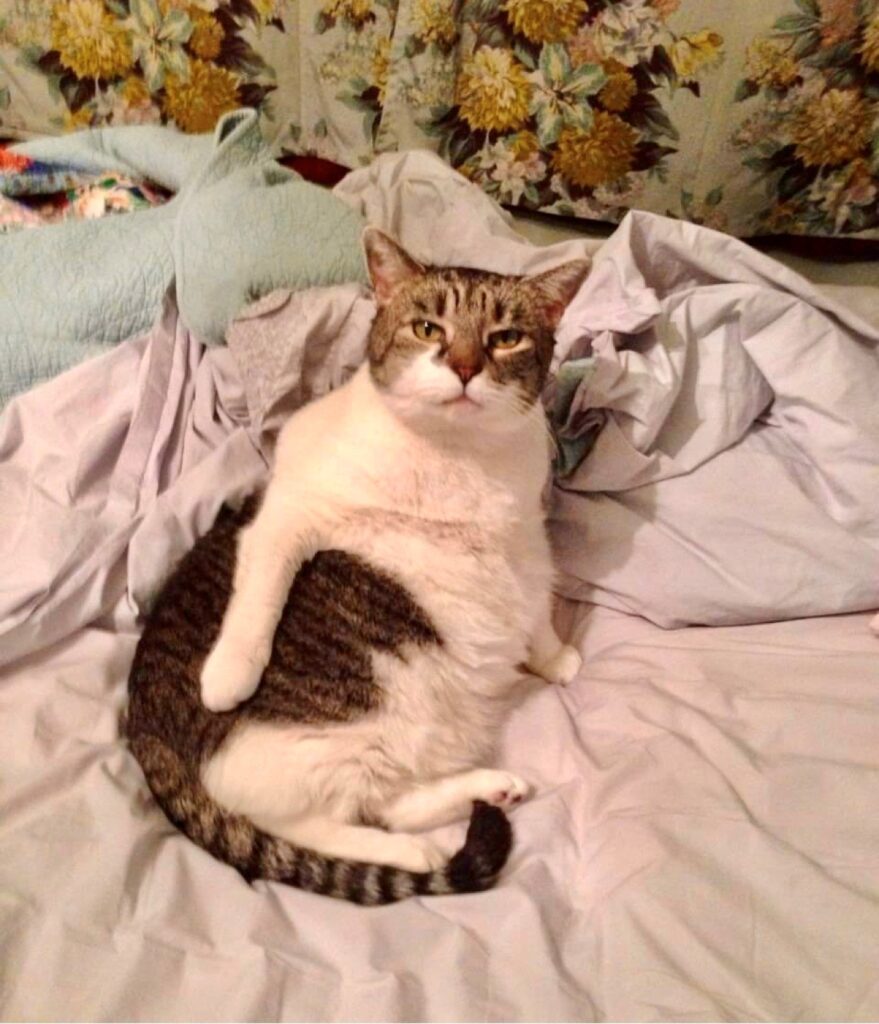 Queen of the house_photo