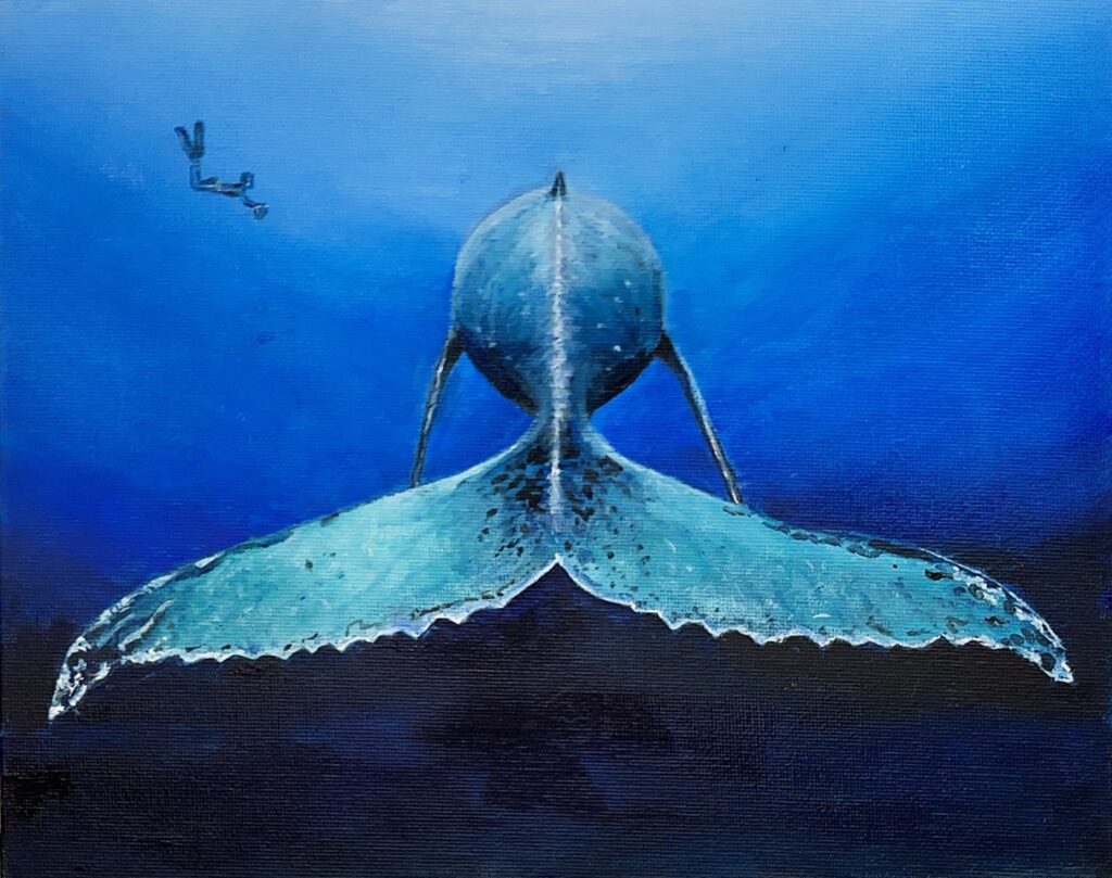 Whale and Diver