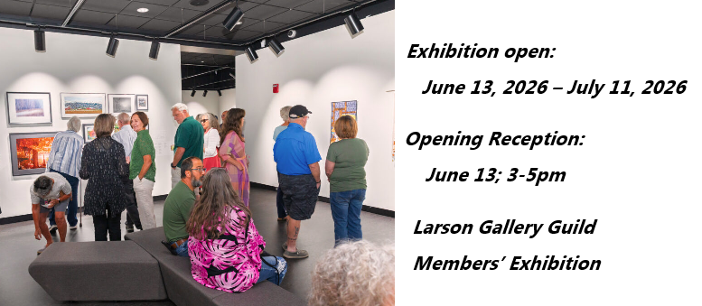 Larson Gallery - YVC-16th & Nob Hill Blvd, Yakima, WA 509.574.4875